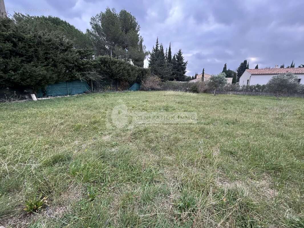 Terrain à FONTVIEILLE
