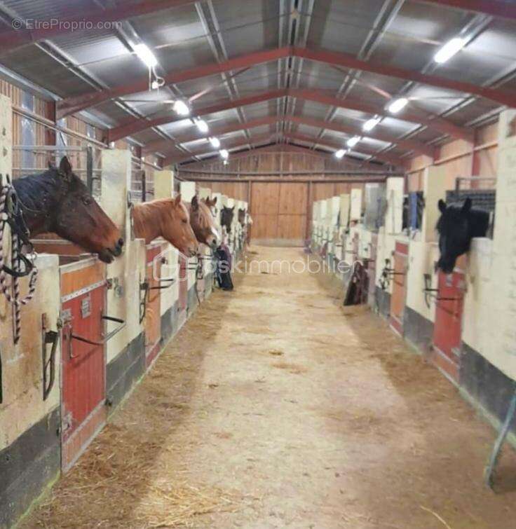 Maison à NOVION-PORCIEN