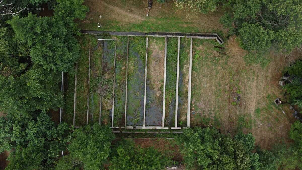 Terrain à BAILLESTAVY