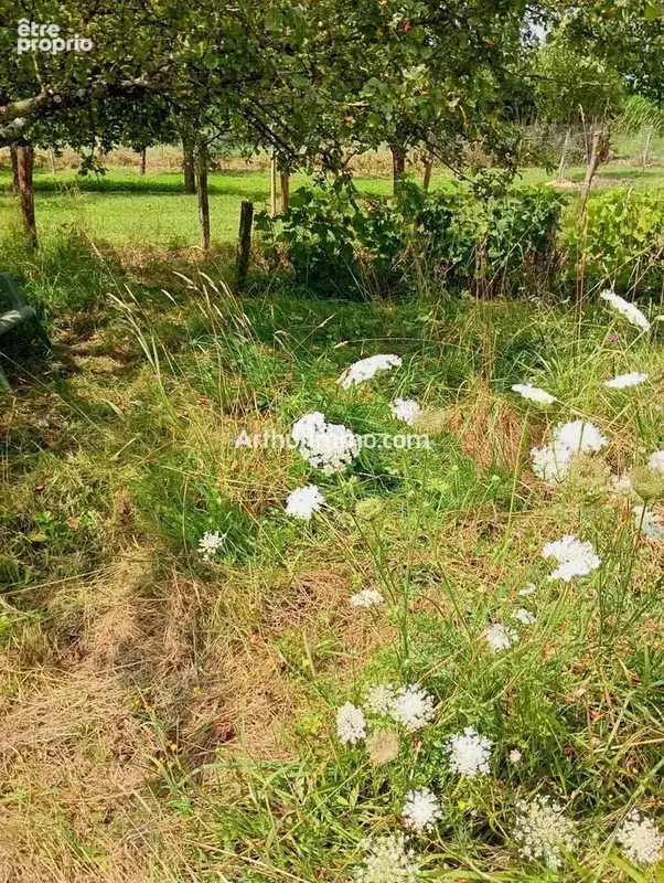 Vente Terrain Saint-vit(25410) 18 000ï¿œ - photo 2