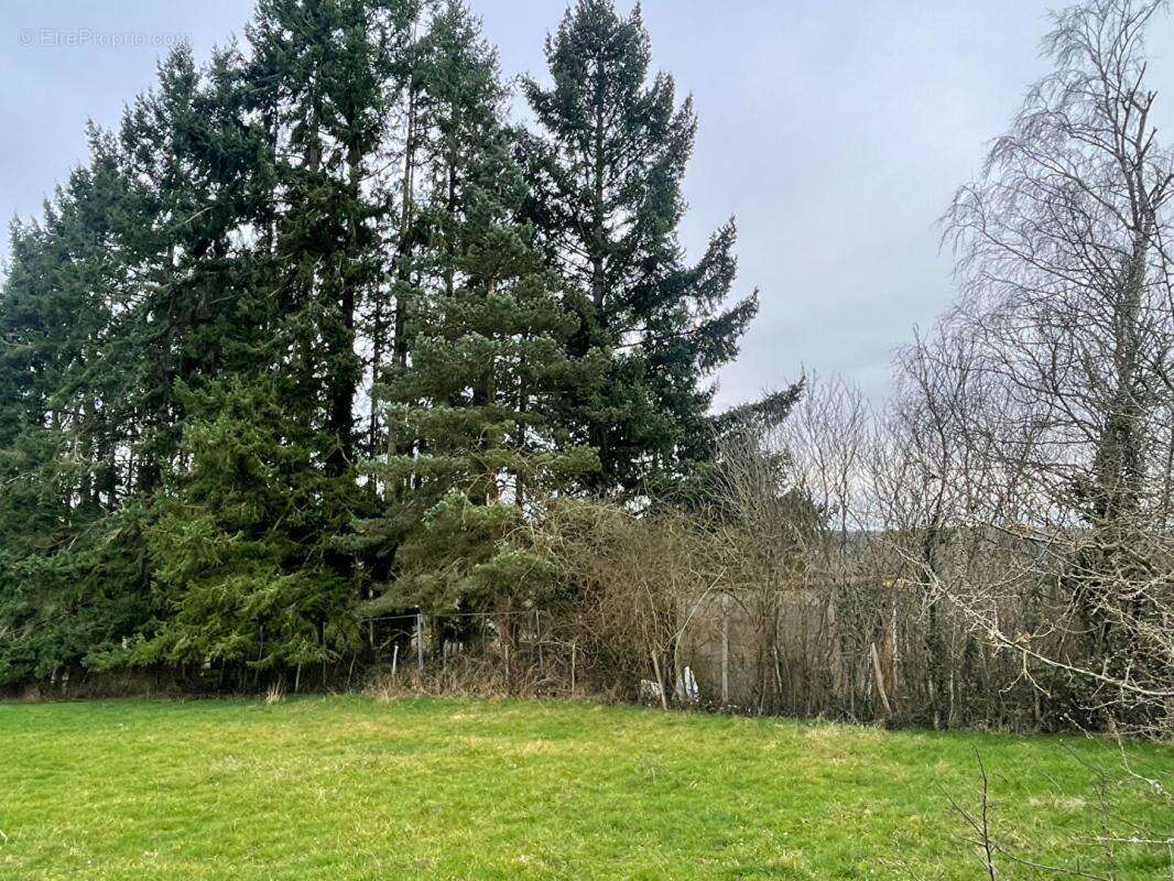 Terrain à CHATEAU-RENARD