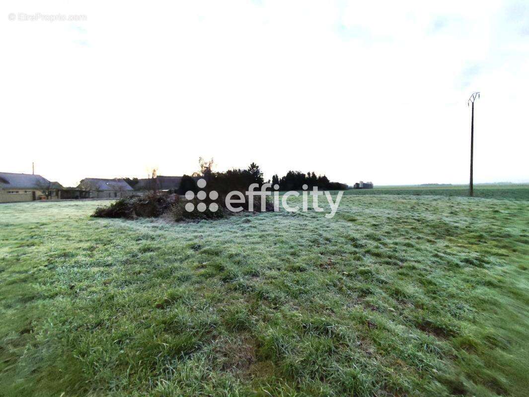 Commerce à TREMBLAY-LES-VILLAGES