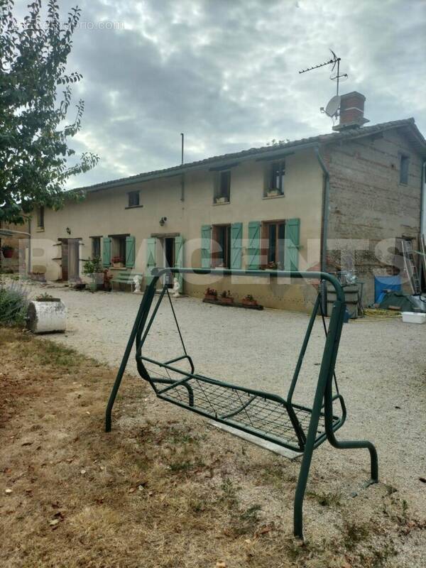 IMG-20250311-WA0002 - Maison à VILLEMUR-SUR-TARN