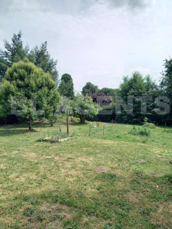 exterieur 1 mombrier - Maison à MOMBRIER