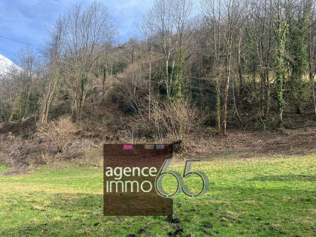 Terrain a vendre - photo 2