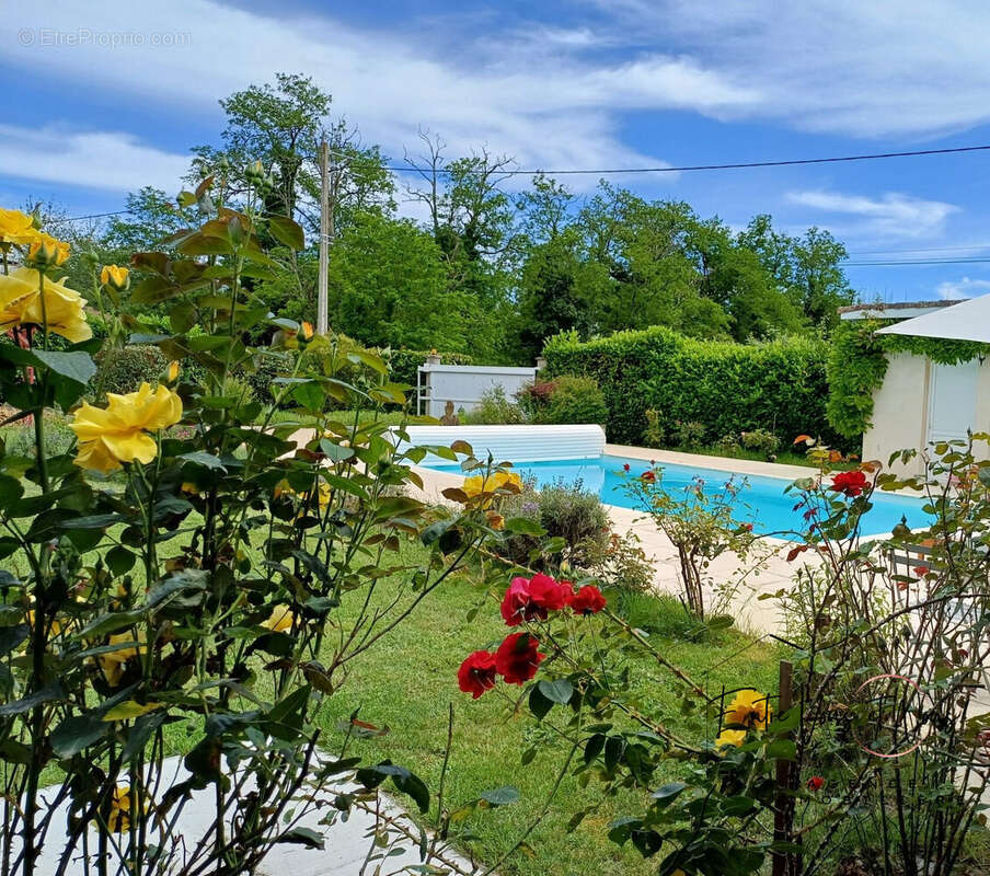 JARDIN FLEURI - Maison à BAZAS