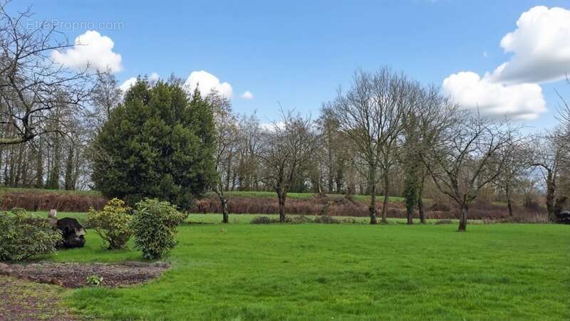 Maison à PLELAN-LE-GRAND