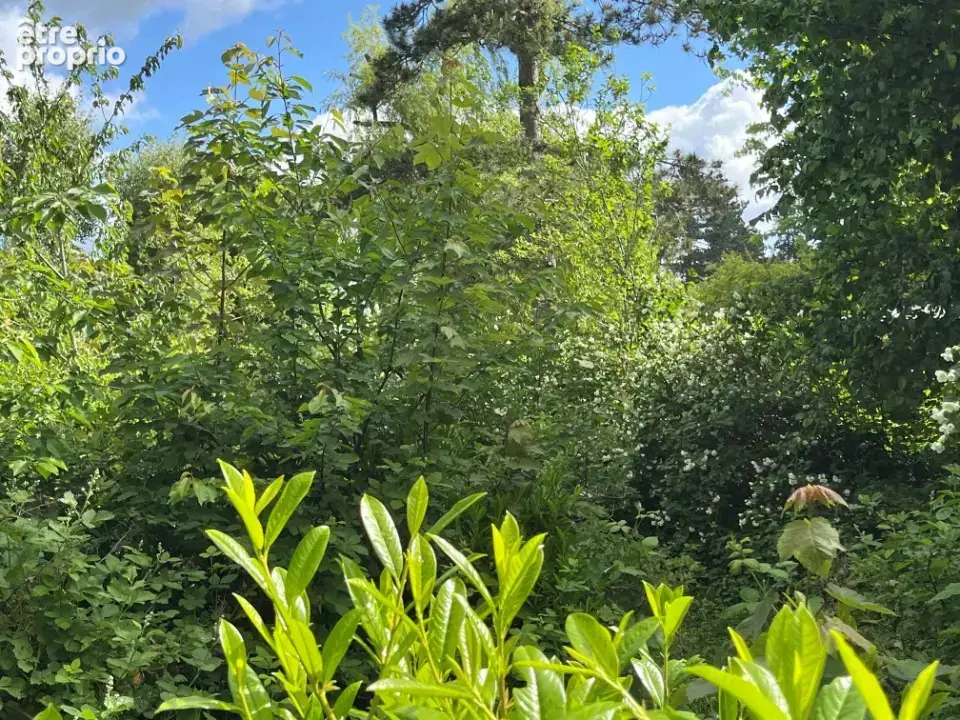 Terrain à ABBEVILLE