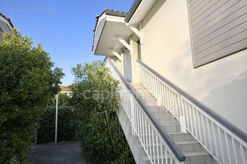 Appartement à AUDENGE
