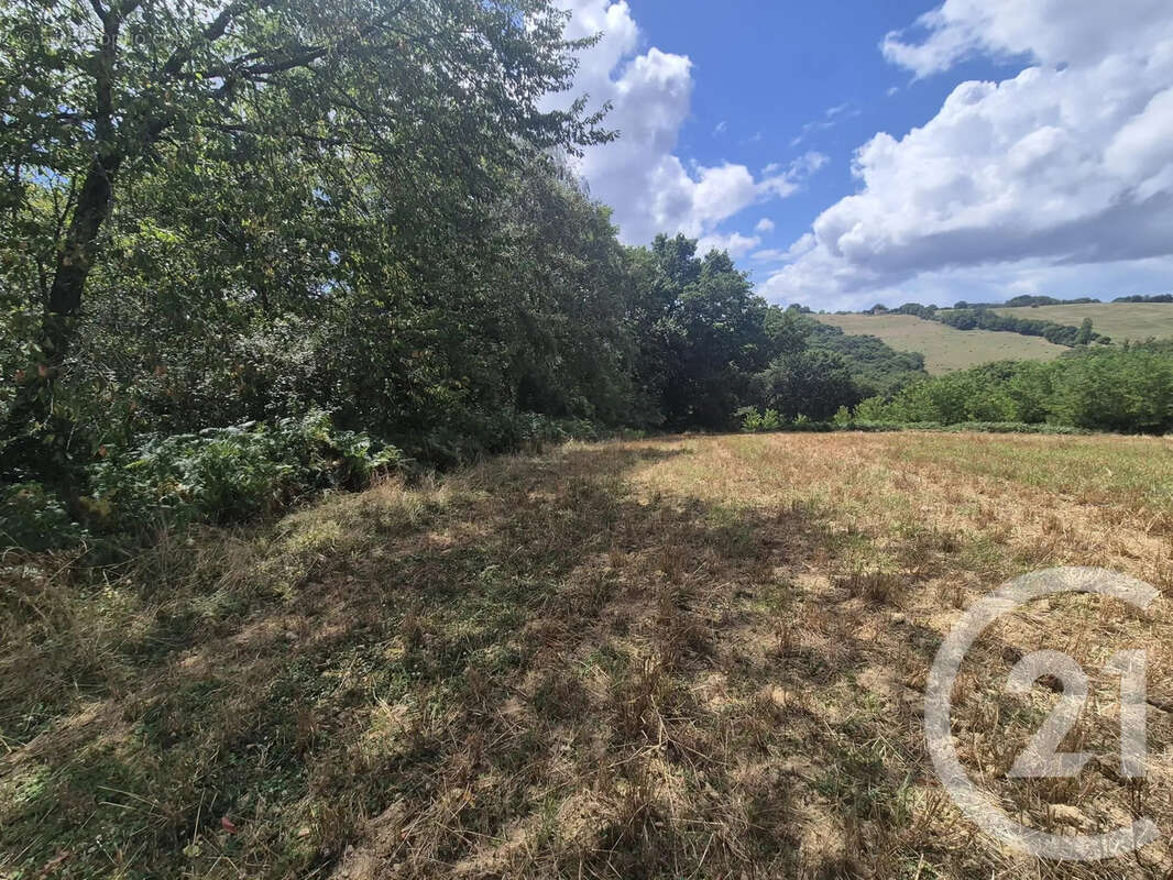 Terrain à SALIES-DE-BEARN