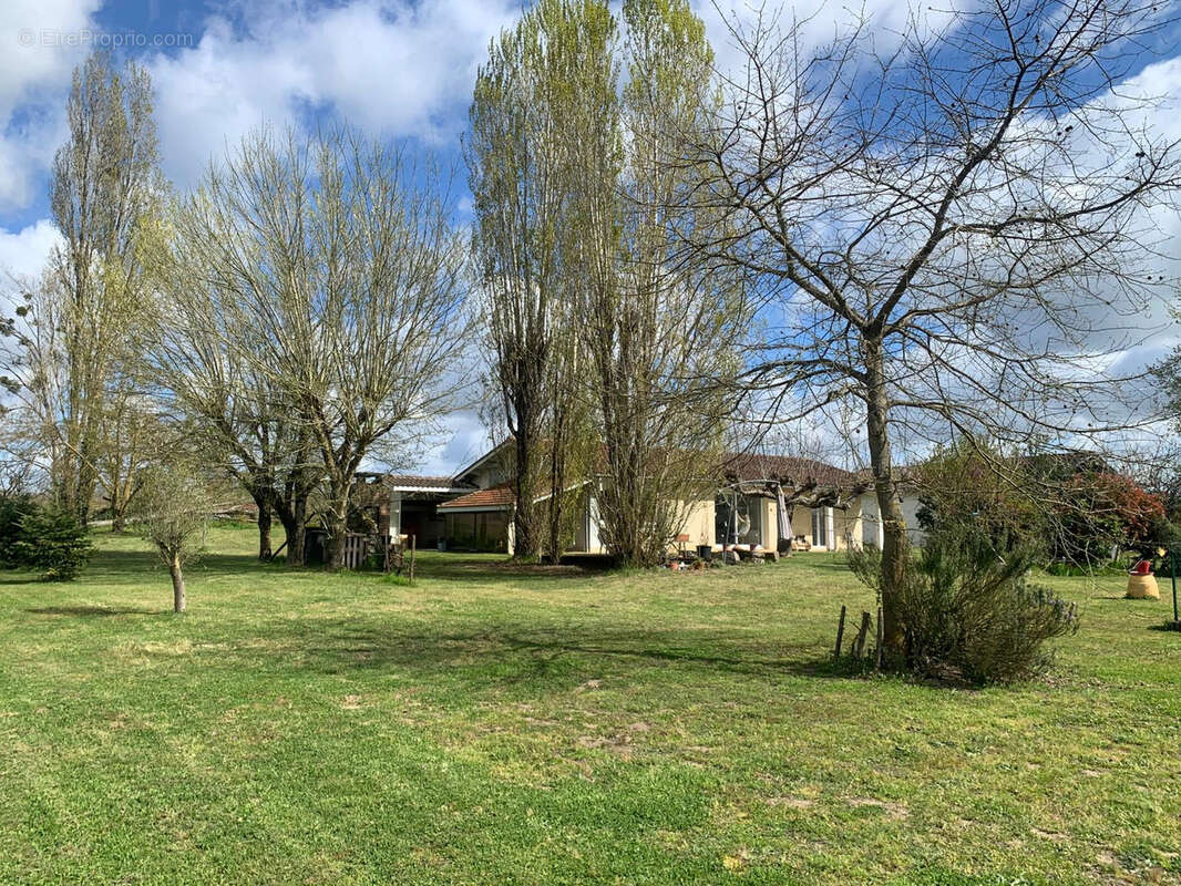 Maison à MONSEGUR