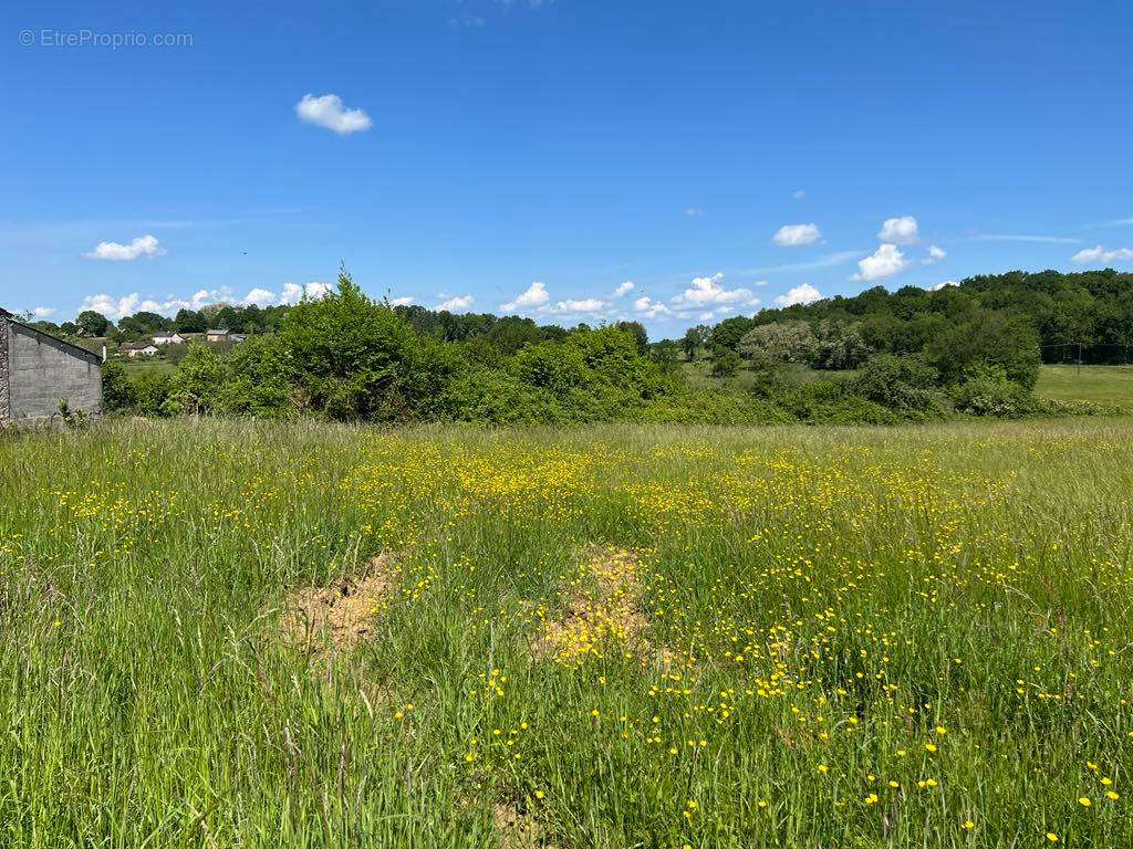 Terrain à SAINT-GERMAIN-DES-PRES