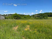 Terrain à SAINT-GERMAIN-DES-PRES