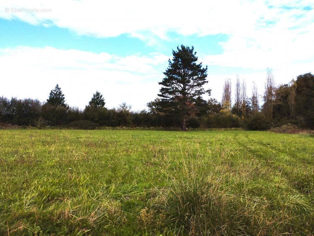 Terrain à SAINTE-COLOMBE