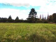 Terrain à SAINTE-COLOMBE