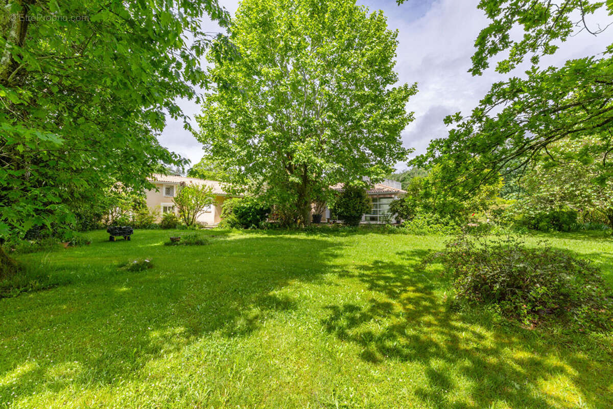 Maison 288m² à léognan - photo 14