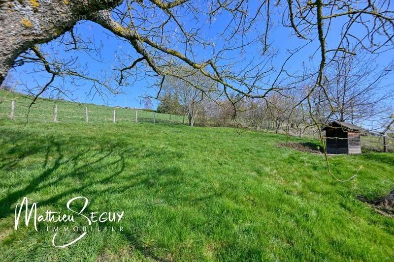 Maison à SAINT-MARTIN-EN-HAUT