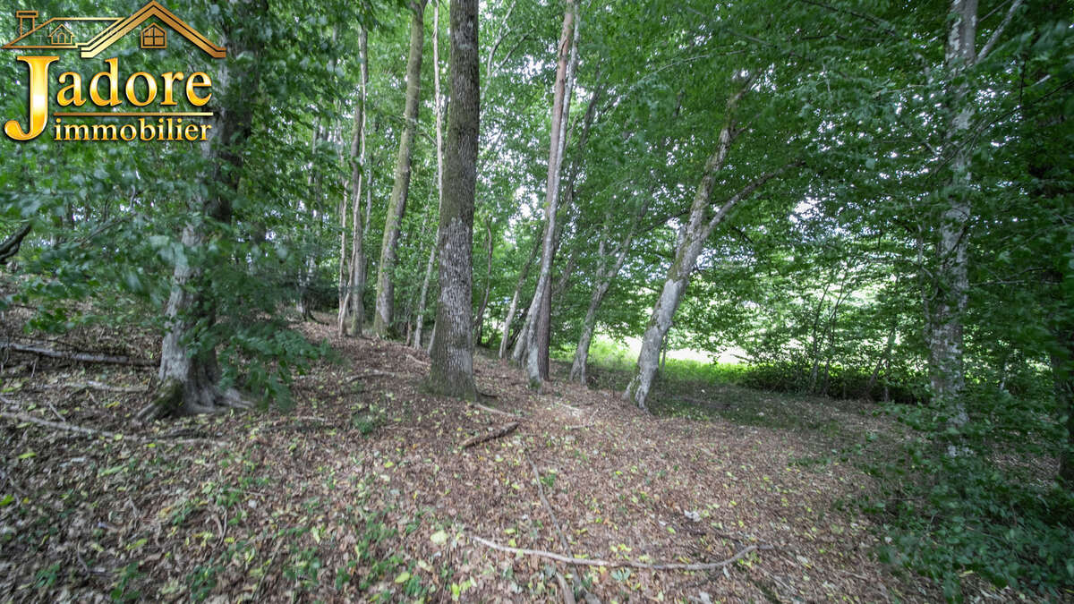 Maison à SAINT-DIE-DES-VOSGES