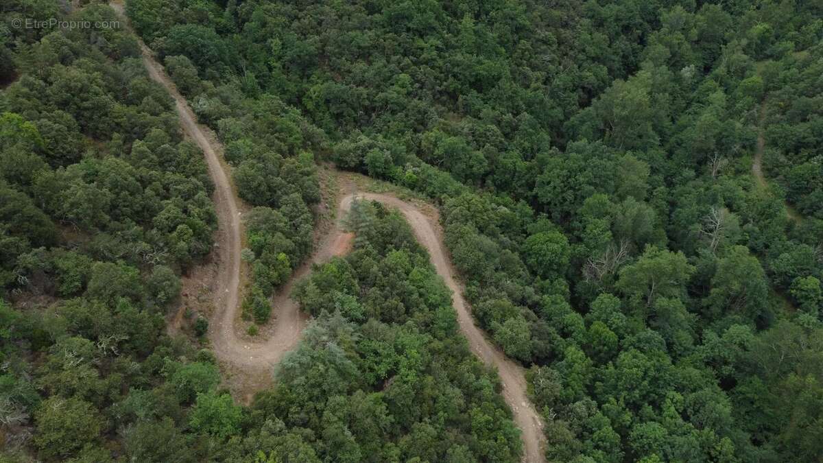 Terrain à BAILLESTAVY
