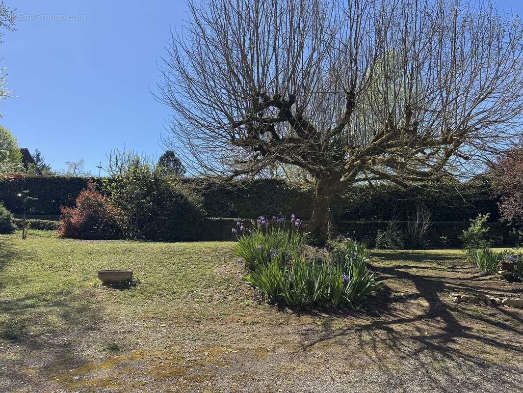 IMG2460 - Maison à MEYRALS