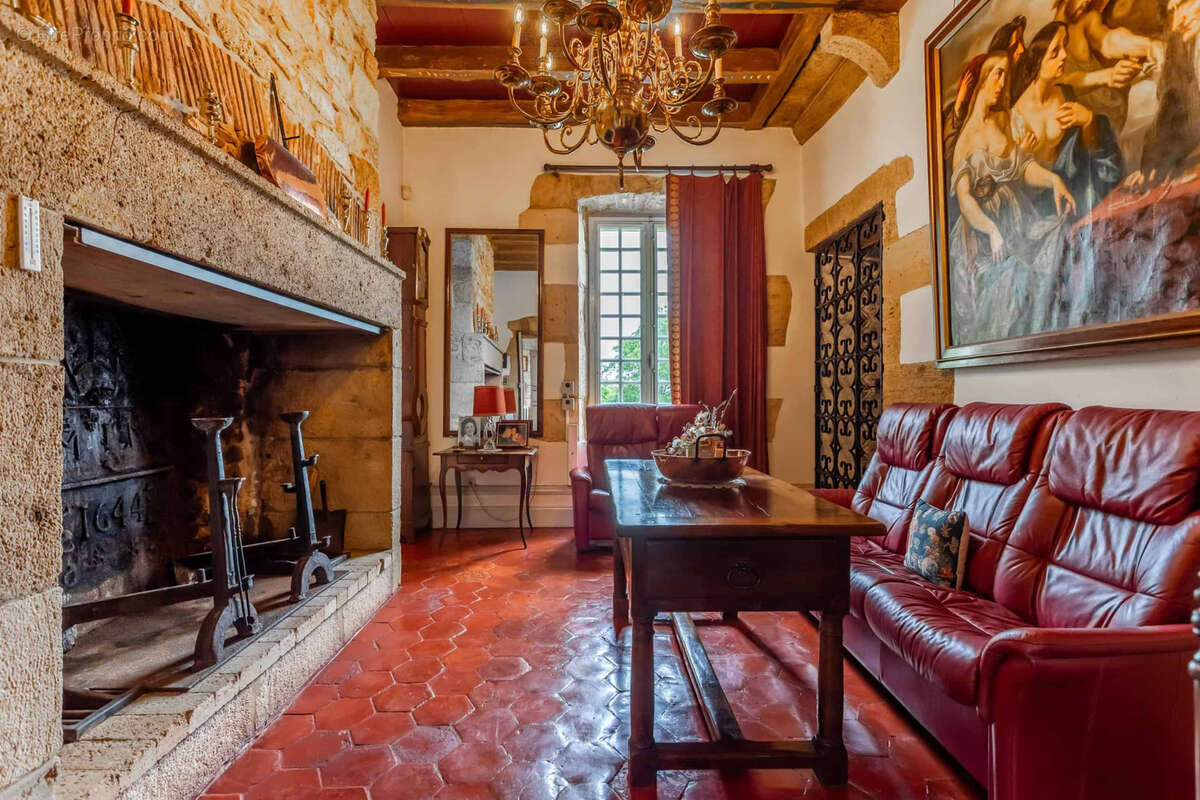 Chateau estate - photo 18
