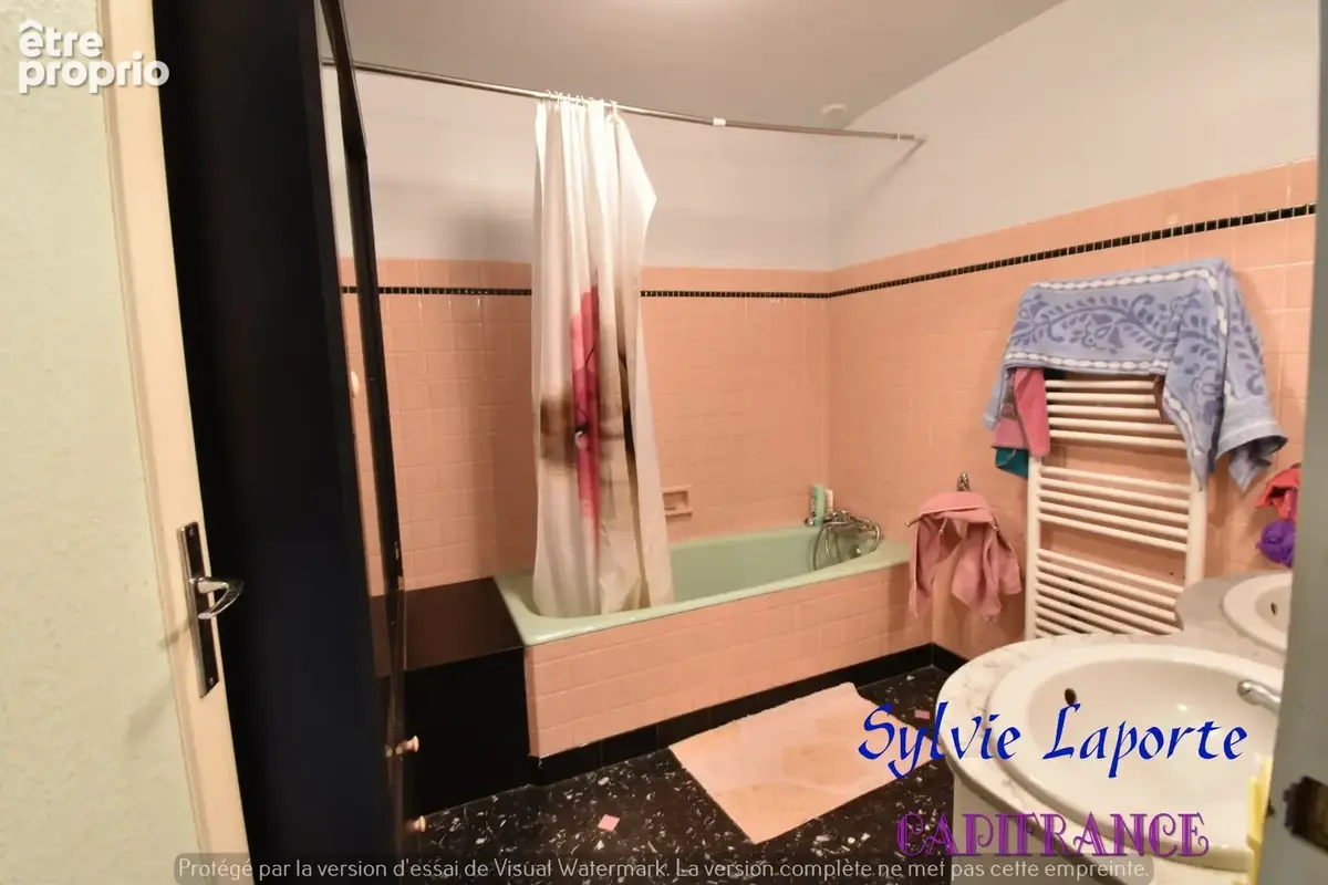 Dpt Lot et Garonne (47), à vendre VILLENEUVE SUR LOT appartement T11, avec local commercial et rapport locatif, idéal investisse - photo 7