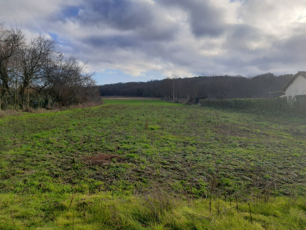 Terrain à VAYRES-SUR-ESSONNE