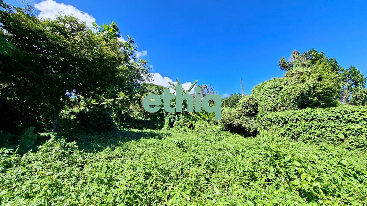 Terrain à CAPESTERRE-BELLE-EAU