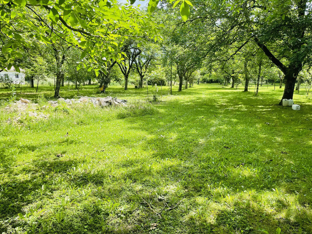 Terrain à TERRASSON-LAVILLEDIEU
