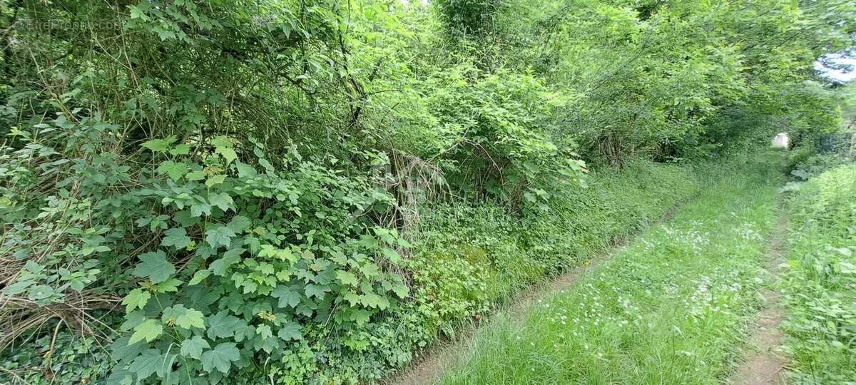 Terrain à NORROY-LES-PONT-A-MOUSSON