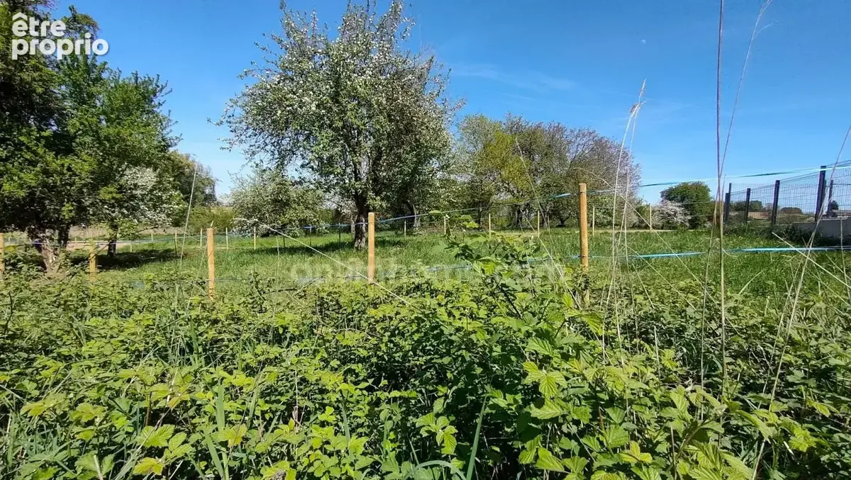 SURBOURG – Terrain constructible de 507 m² en seconde ligne, proche gare - photo 10