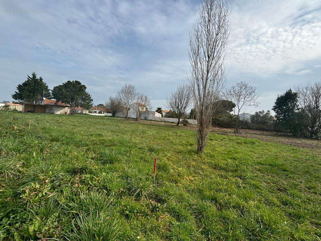 Terrain à SAINT-GEORGES-D&#039;OLERON