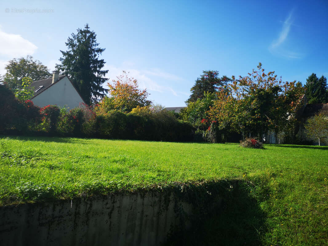 Terrain à VAYRES-SUR-ESSONNE