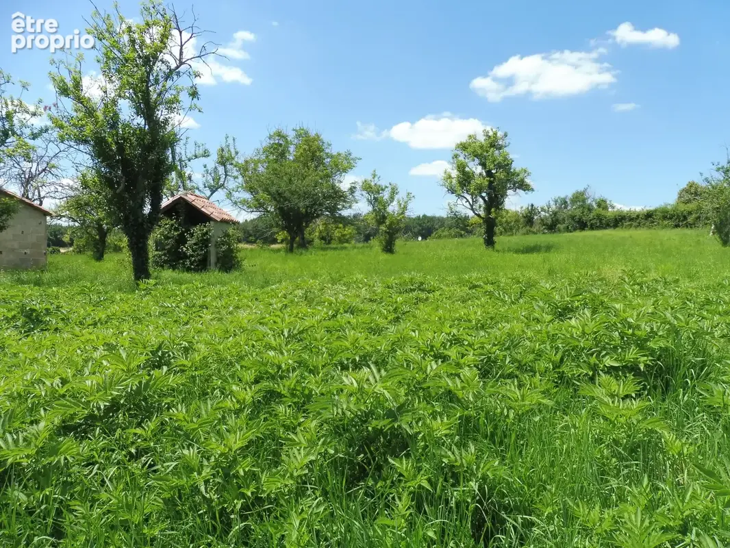 Au coeur du village - photo 37