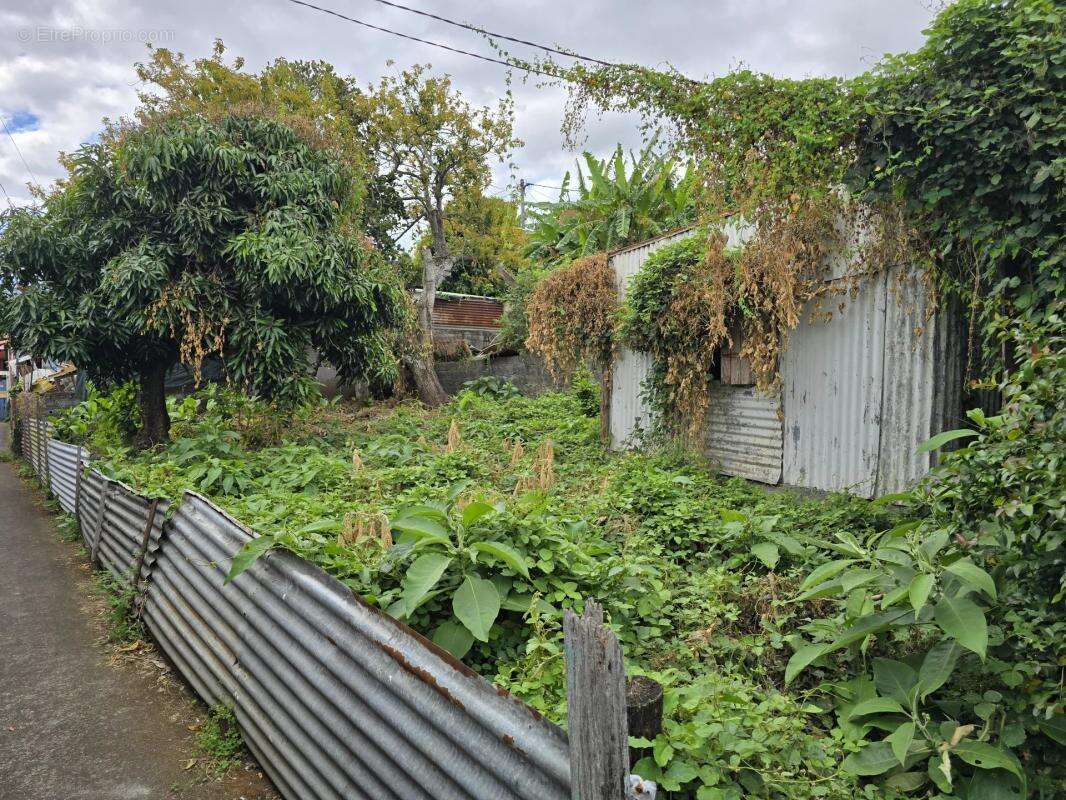 Terrain à LE TAMPON