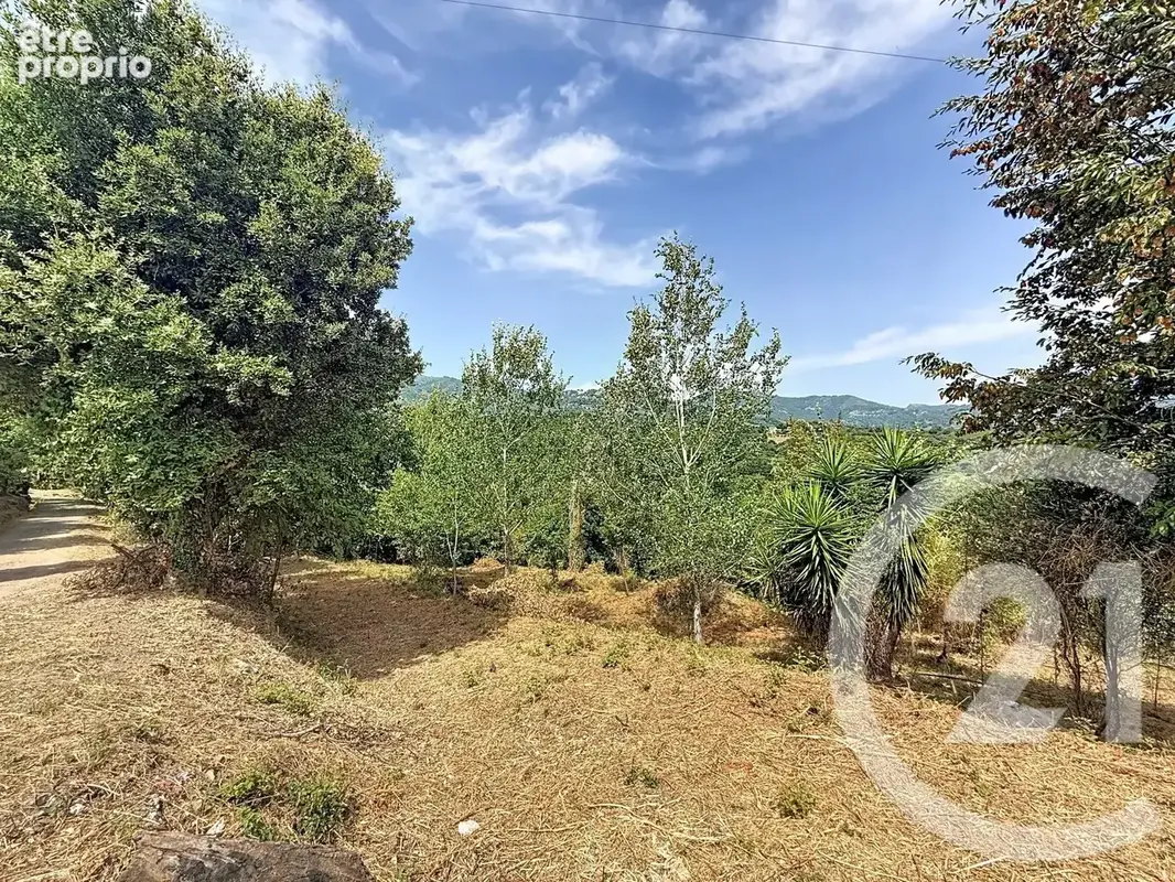 Terrain 2 000 m² à vendre à San-Nicolao (20230) - photo 11