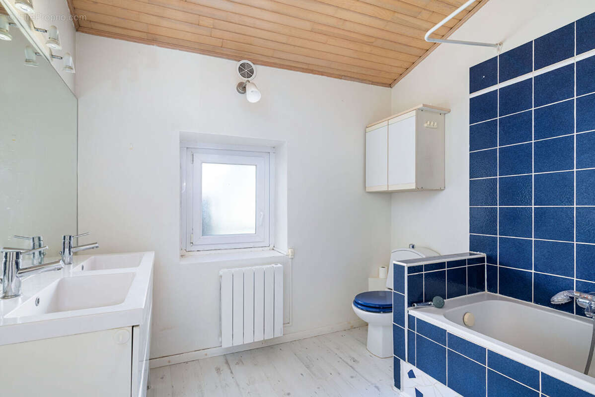 Maison à SAINT-DIDIER-AU-MONT-D&#039;OR