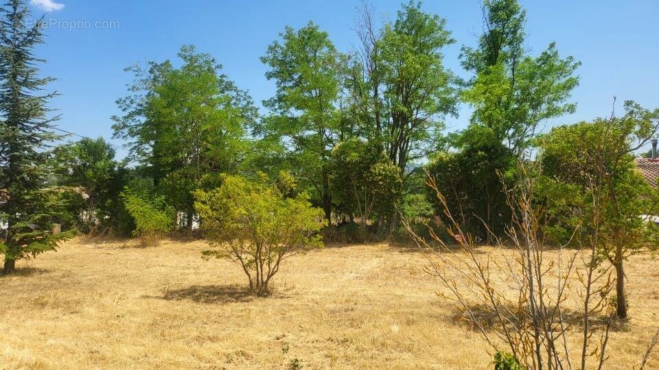 Terrain à FORCALQUEIRET