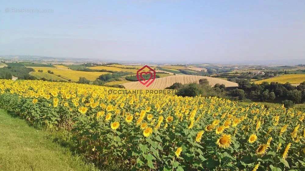 Domaine avec vue panoramique - photo 6