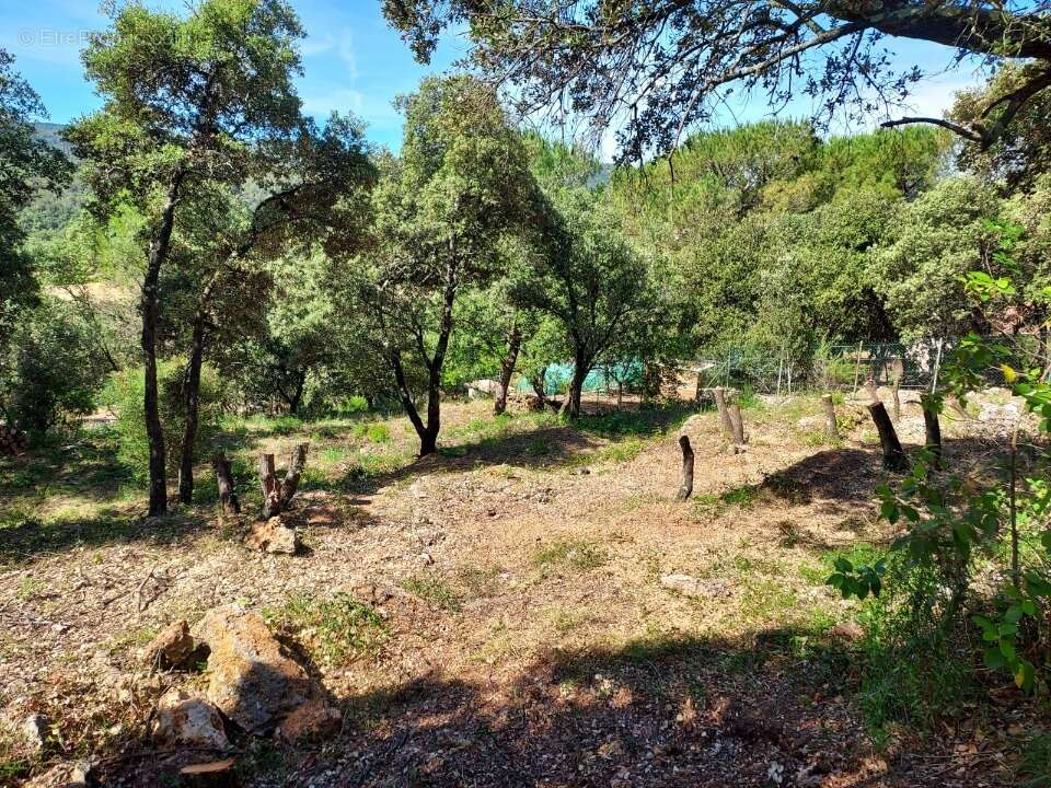 Terrain 950 m² à Sainte-Anastasie-Sur-Issole  - photo 5