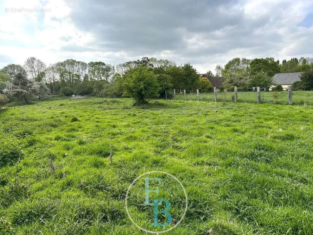 Terrain à DOZULE