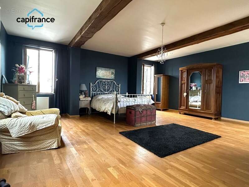 Salvagnac 81, magnifique propriété T9-T10 450 m² (dont 3 Gîtes loués), terrain de 1.6 hectares - photo 5
