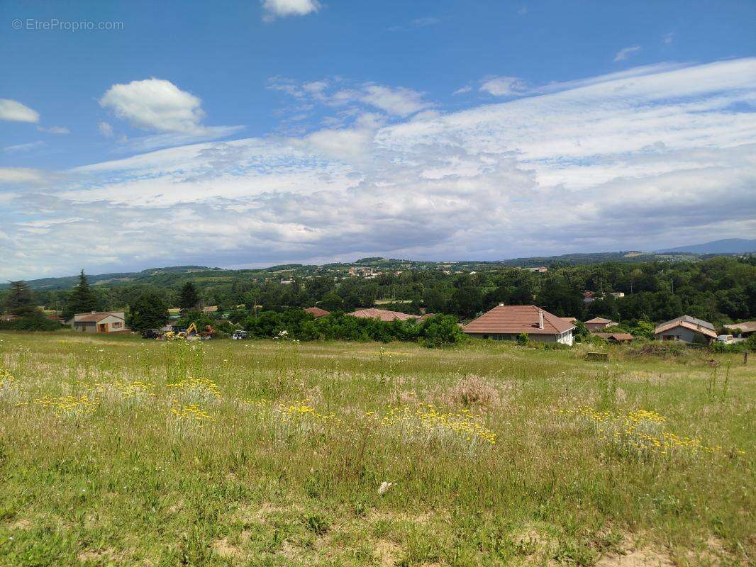Terrain à CHARMES-SUR-L'HERBASSE