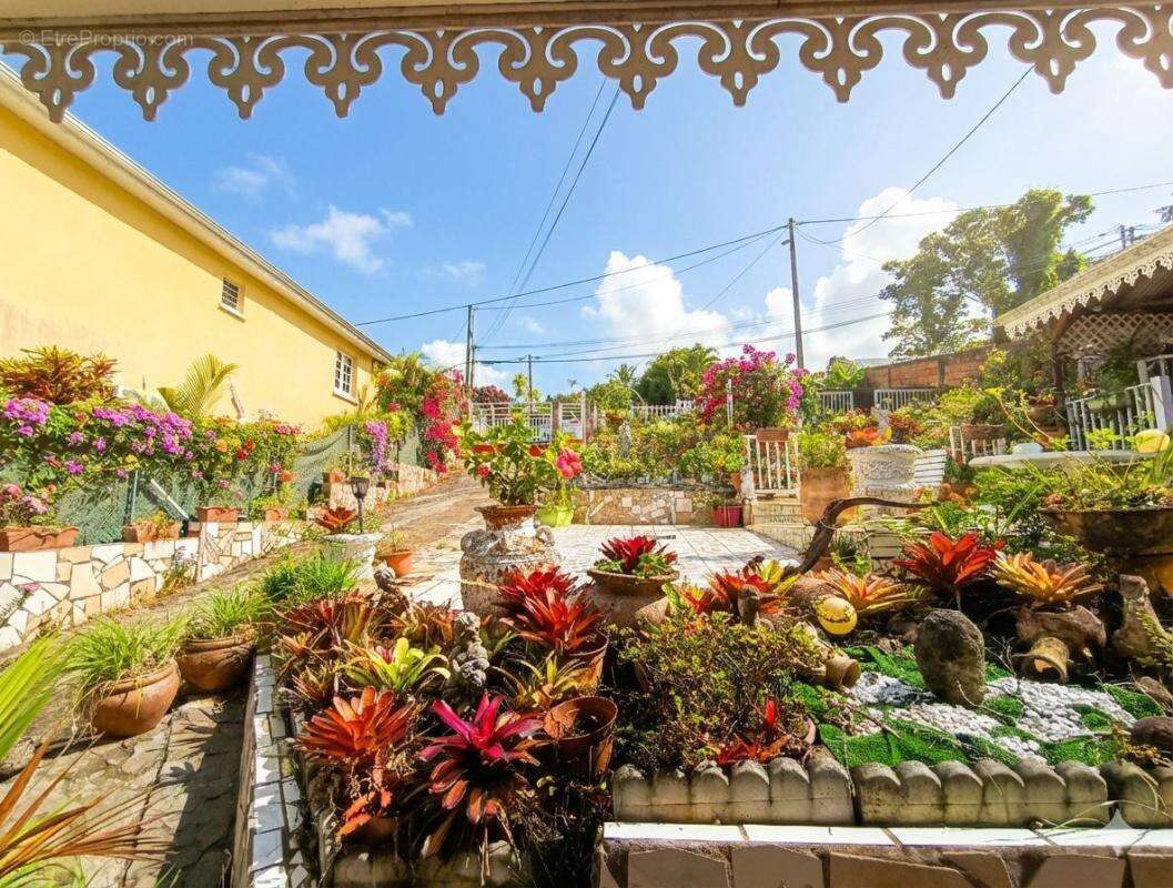 Maison à RIVIERE-SALEE