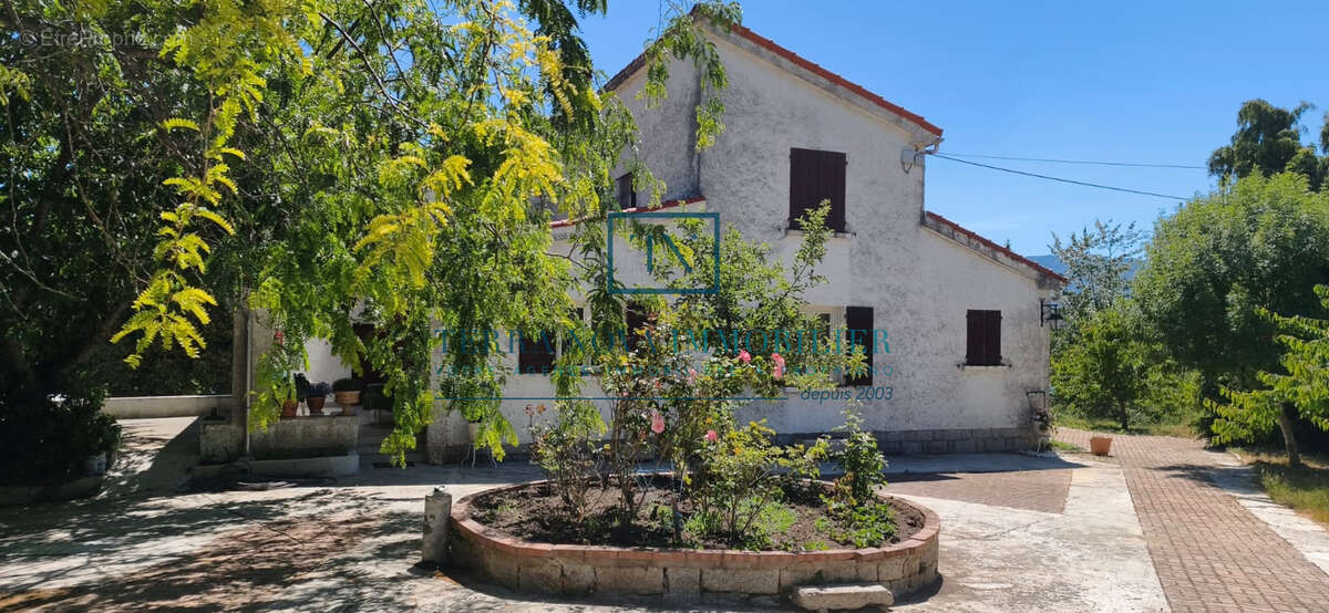 Propriété au cœur de l'Alta Rocca - photo 5
