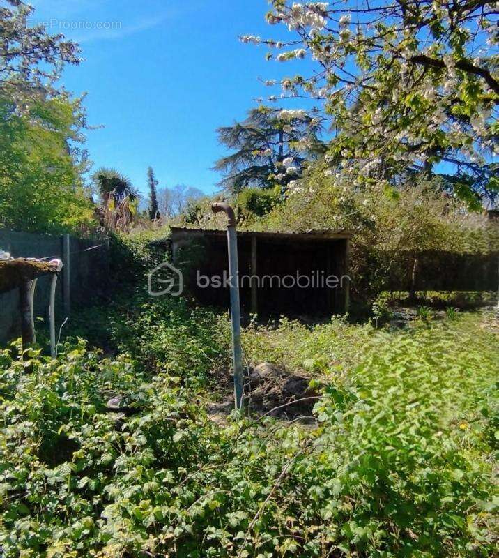 Opportunite rare! - photo 2