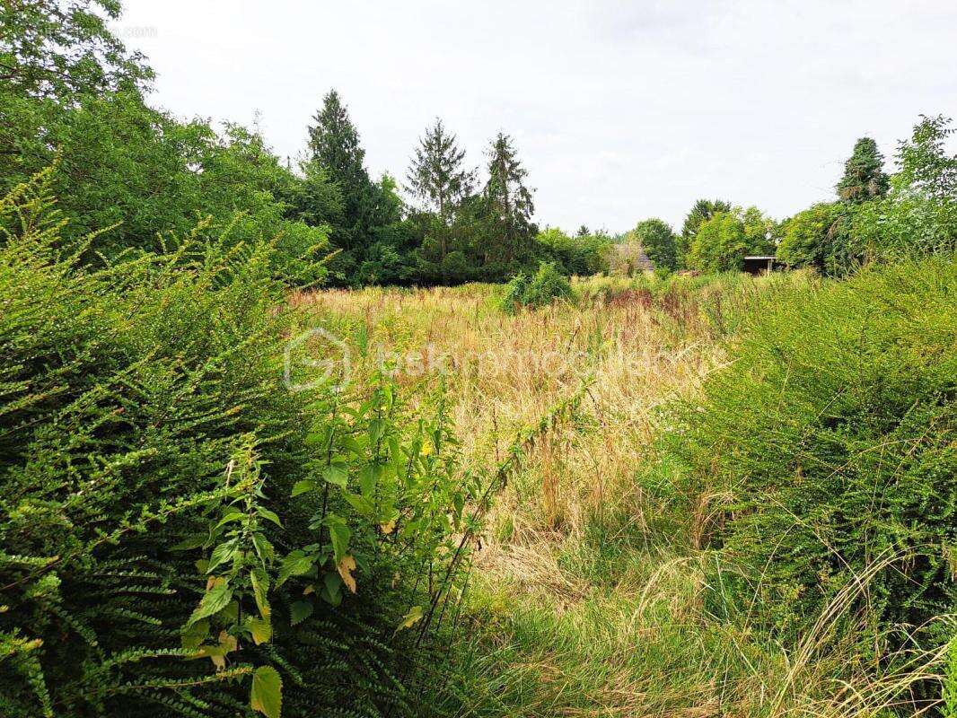 Maison à CHATENAY-SUR-SEINE