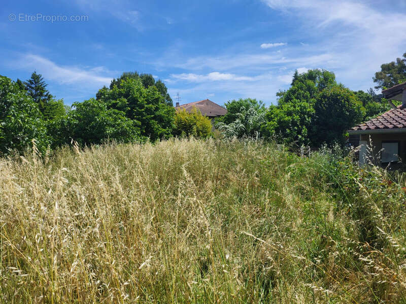 Maison à CASTANET-TOLOSAN