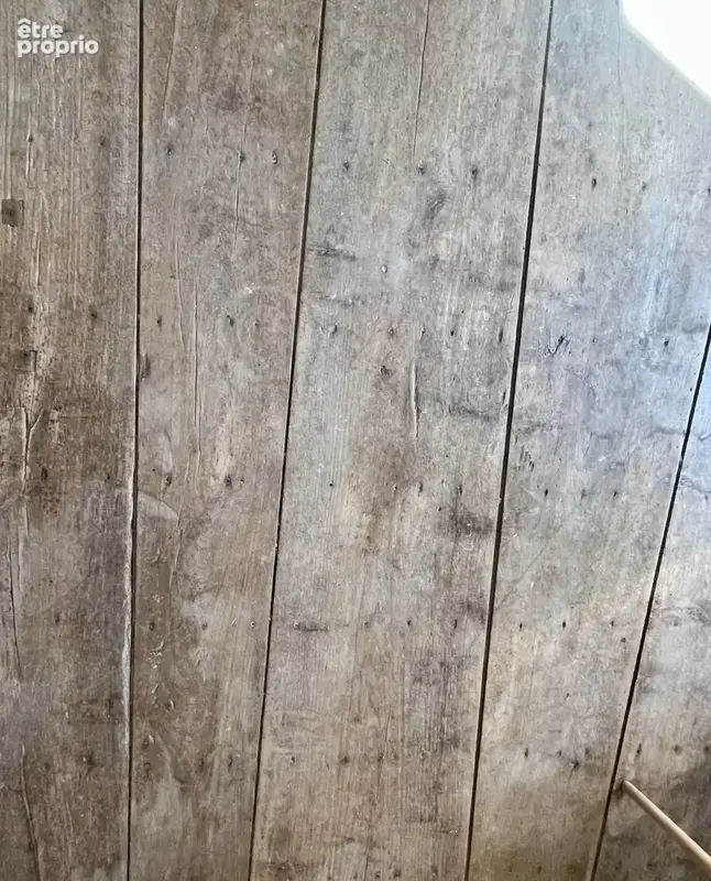 Belle maison de caractère rénovée, 4 chambres, dépendances, 1,7ha de terrain - photo 13