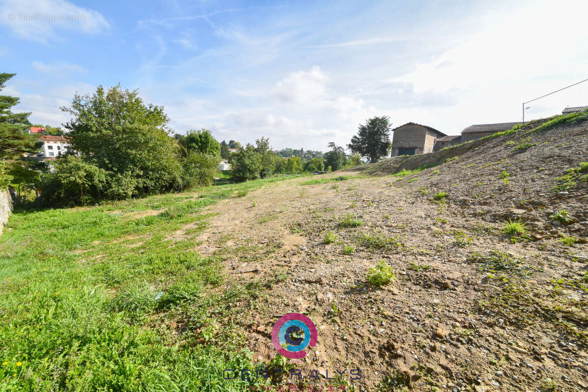 Terrain à SAINT-DIDIER-AU-MONT-D&#039;OR